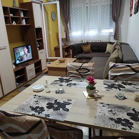 Marina Sa Garazom * Novi Sad